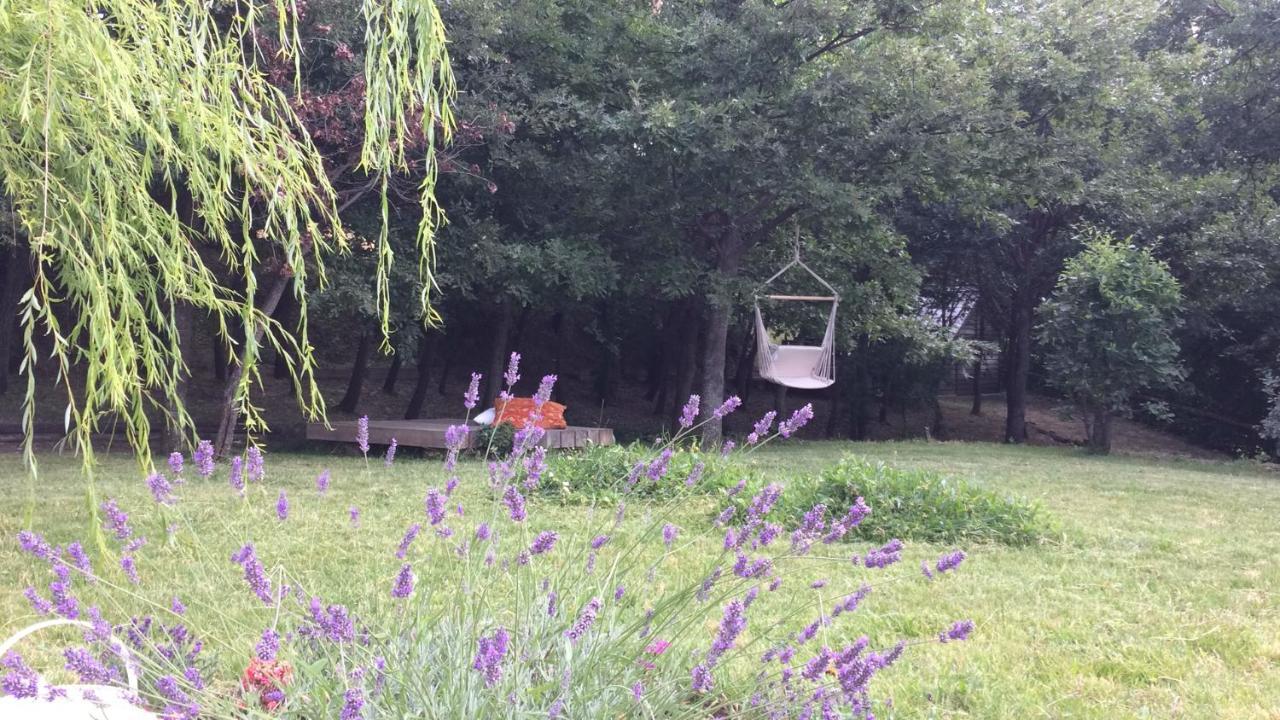 Vieniacasaccadia B&B 외부 사진