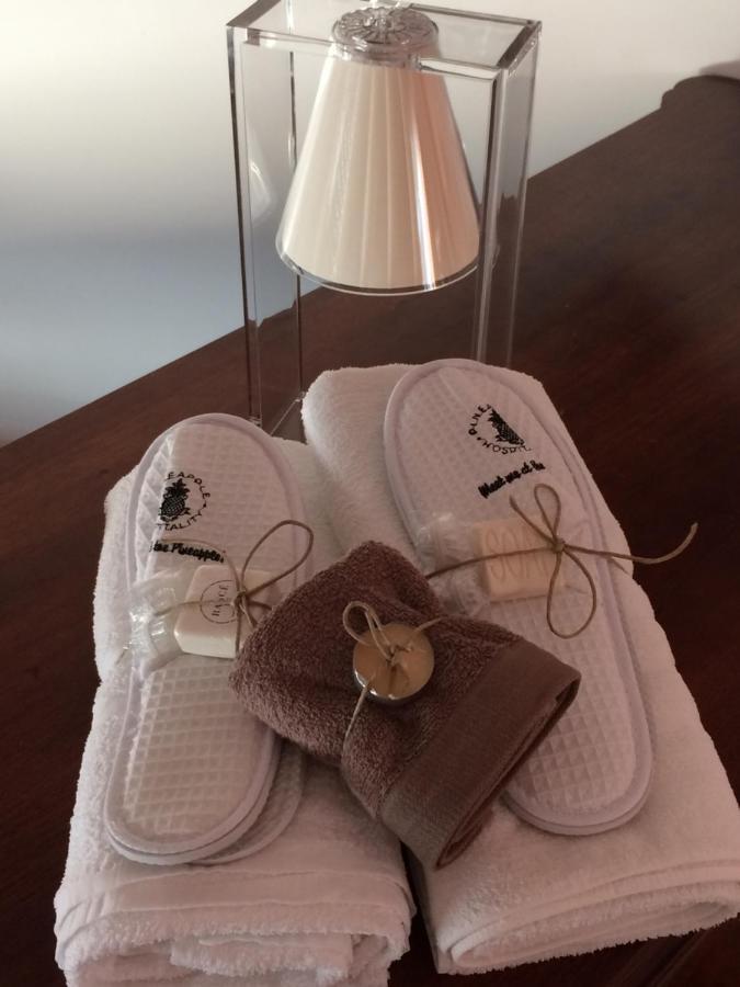 Vieniacasaccadia B&B 외부 사진