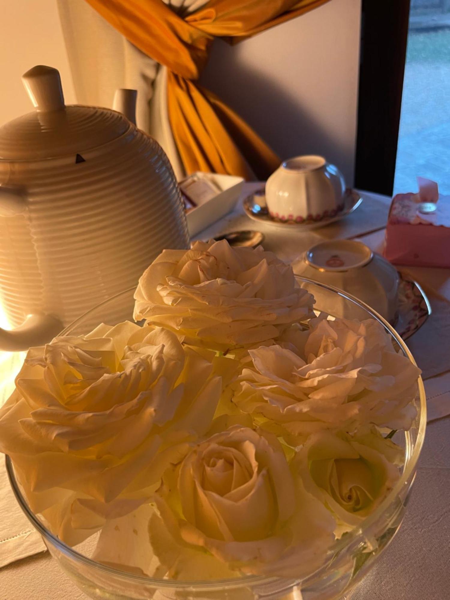 Vieniacasaccadia B&B 외부 사진